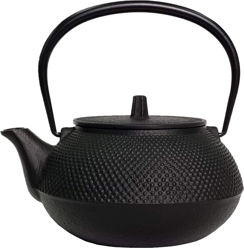 Iwachu black arare tetsubin kettle with an iron handle, no enamel