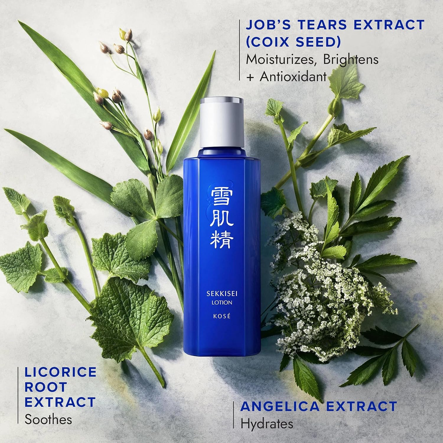 Sekkisei Lotion bottle surrounded by green herbs labeled coix seed, licorice root plus angelica extract